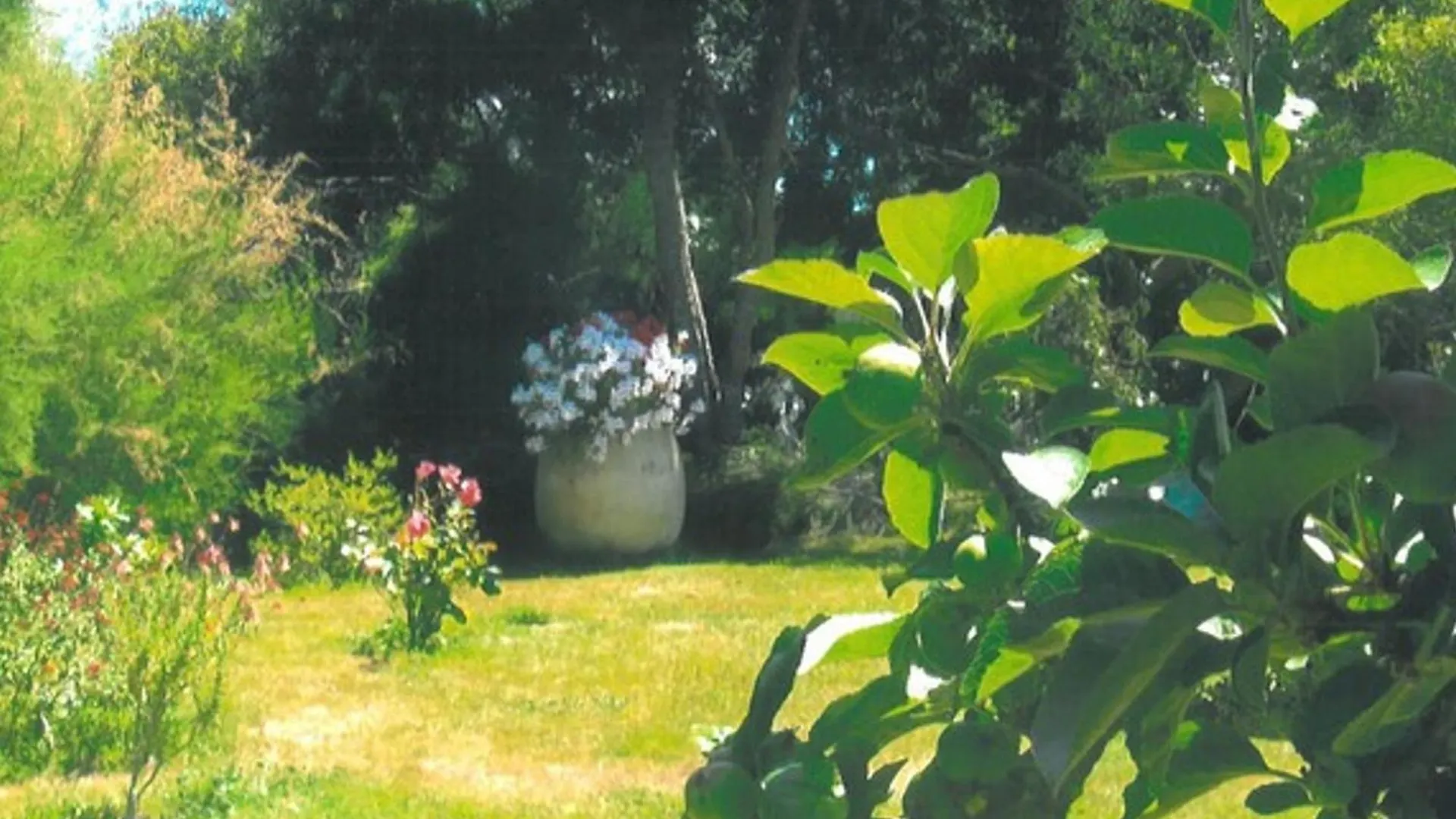 Maison Soignee 800M Port Et Plage, Le Palais, 2 Ch, Jardin, Wi-Fi, Tv, Proche Commodites - Fr-1-418-218 0*,  France